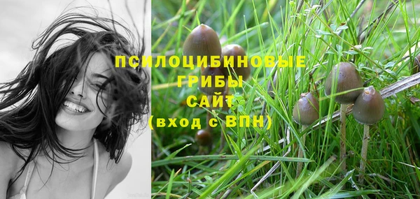 стаф Саяногорск