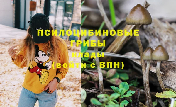 шишки Балахна
