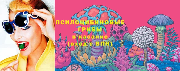 стаф Саяногорск