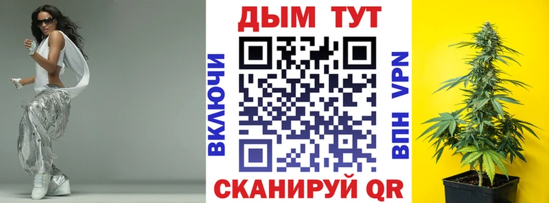 Купить Бакал Бошки Шишки OG Kush